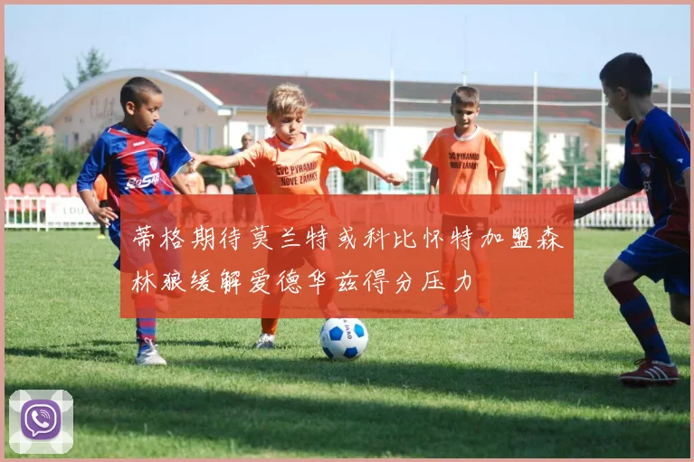 蒂格期待莫兰特或科比怀特加盟森林狼缓解爱德华兹得分压力
