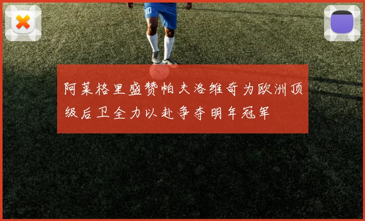 阿莱格里盛赞帕夫洛维奇为欧洲顶级后卫全力以赴争夺明年冠军